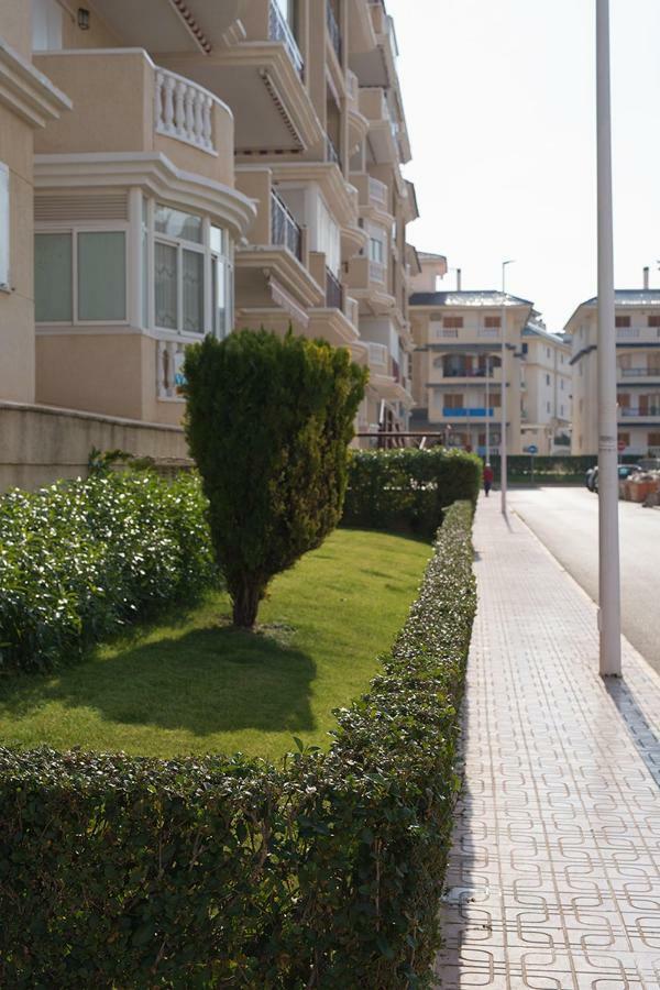 Apartment Sunny La Mata  Exterior foto