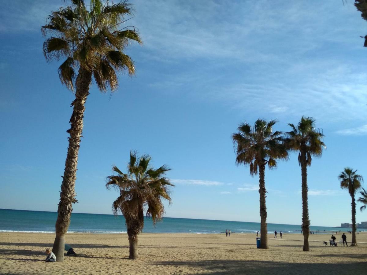 Apartment Sunny La Mata  Exterior foto